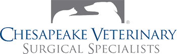 veterinarian-chesapeake-va