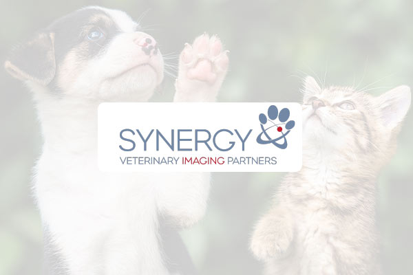 veterinary-imaging-partners