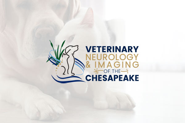 veterinary-neurology-specialist