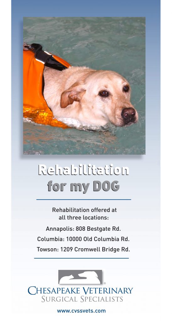 Rehabilitation Brochure