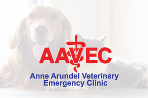 anne-arundel-veterinary-clinic