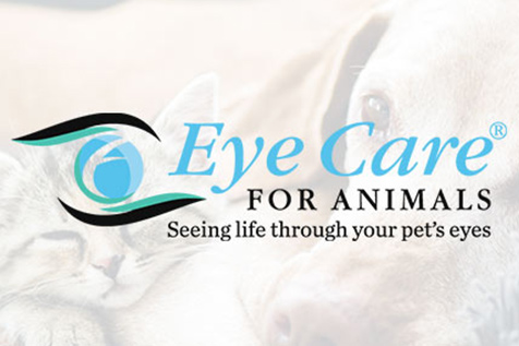 eye-care-for-animals