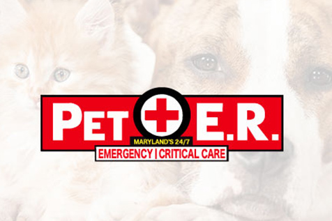 pet-emergency