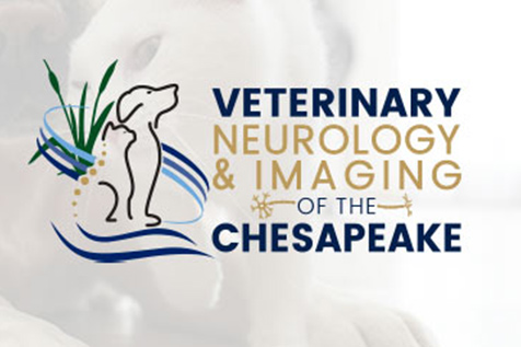 veterinary-neurology