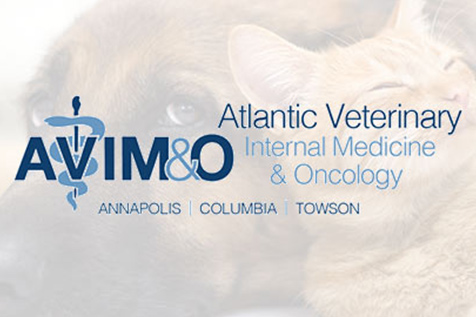 veterinary-oncology